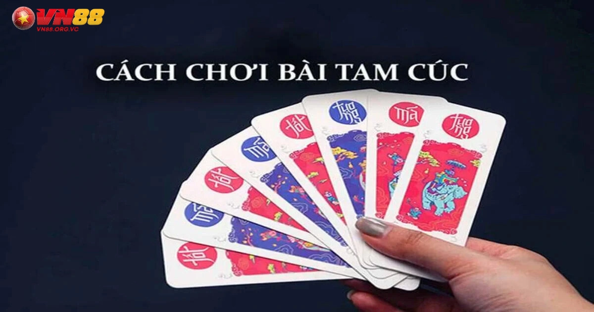 Bài Tam Cúc VN88 Trò Chơi Hấp Dẫn Lôi Cuốn Hàng Đầu